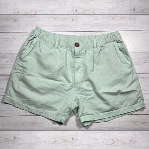 Chubbies Men's Shorts - Mint Green 5.5" Inseam - Large (Made in USA)